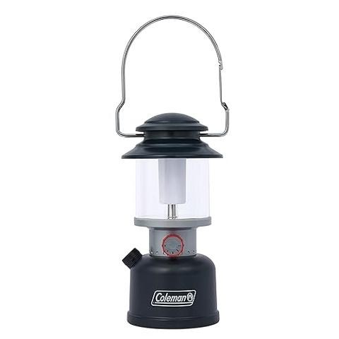 POTIVE Cuerda De Luces Blancas Que Funcionan Con Pilas, Luces De Cuerda Para Exteriores Temporizador Impermeable Con Control Remoto 33 Pies 100